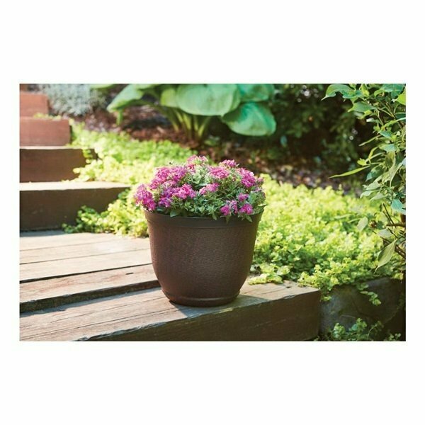 Southern Patio Planter, Cronus 8 in. Hot Coal HDR-012146